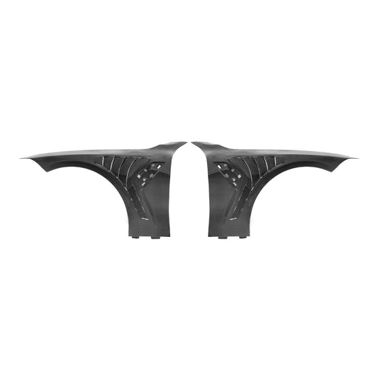 G82 TK style dry carbon fenders